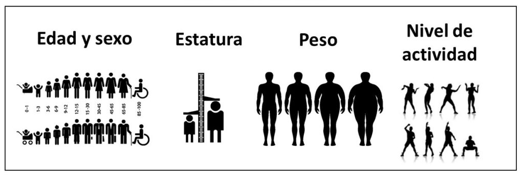 factores para calcular calorias