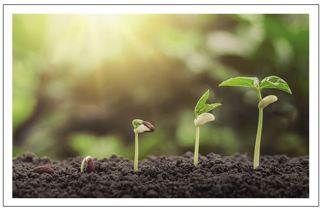 balance exponencial y los habitos