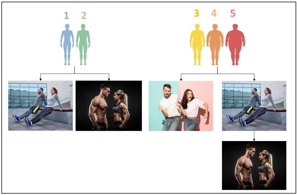 balance exponencial objetivos intermedios