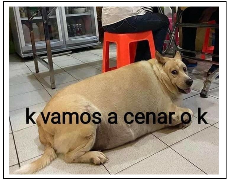 reflexion de comida en exceso